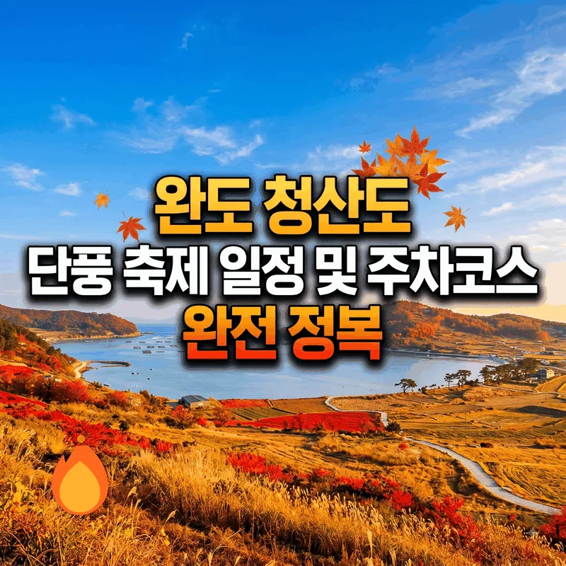 완도 청산도 단풍길 축제 일정과 주차 코스 완벽 가이드