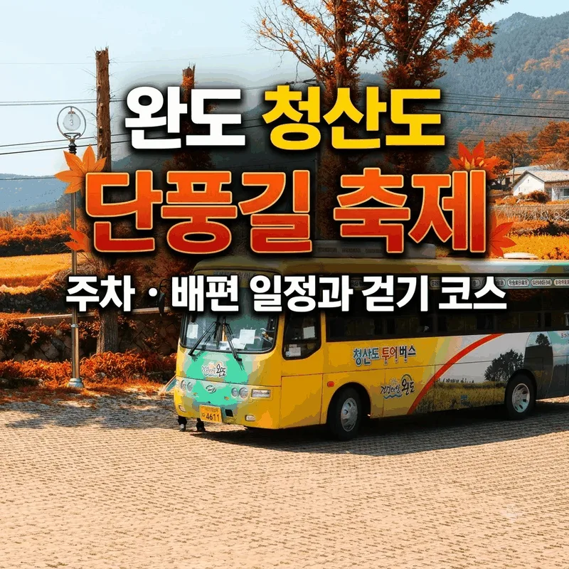 완도 청산도 단풍길 축제 주차 배편 일정과 걷기 코스
