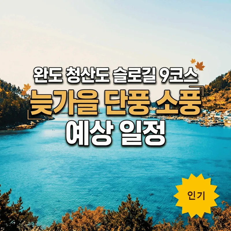 완도 청산도 슬로길 9코스 늦가을 단풍 소풍 예상 일정