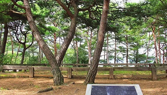월송대 / 사진=한국관광콘텐츠랩