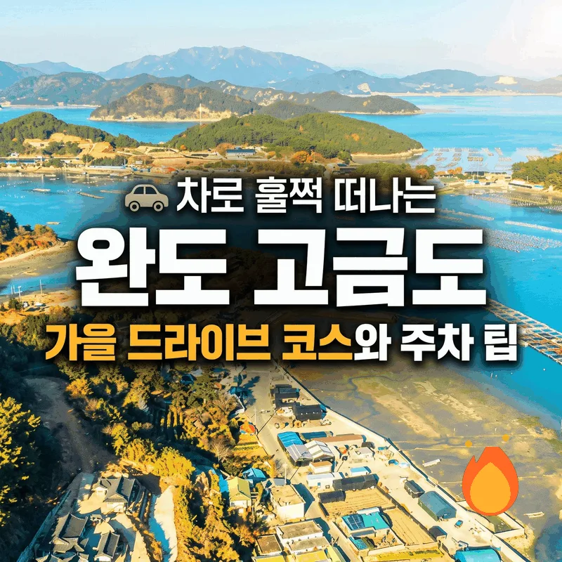 차로 훌쩍 떠나는 완도 고금도, 가을 드라이브 코스와 주차 팁