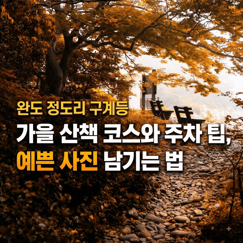 완도 정도리 구계등 가을 산책 코스와 주차 팁, 예쁜 사진 남기는 법