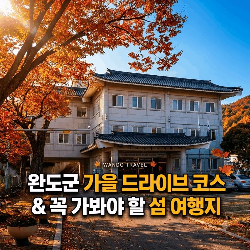완도군 가을 드라이브 코스와 섬 여행지 가볼만한 곳 총정리
