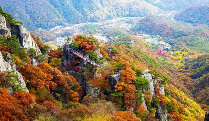 대둔산 전경 / 사진=게티이미지뱅크