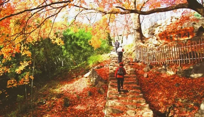 모악산 가을 트레킹 / 사진=완주군 문화관광