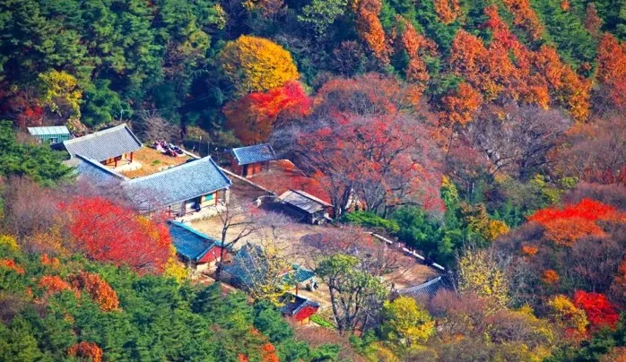 완주 모악산도립공원 전경 / 사진=완주군 문화관광