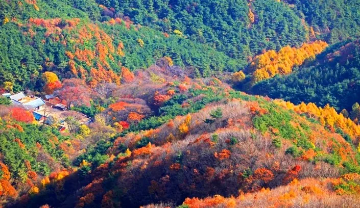 모악산 / 사진=완주군 문화관광