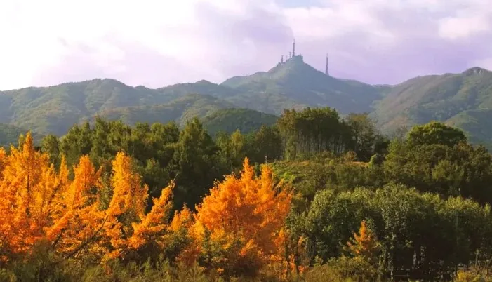 모악산 단풍나무 / 사진=완주군 공식 블로그