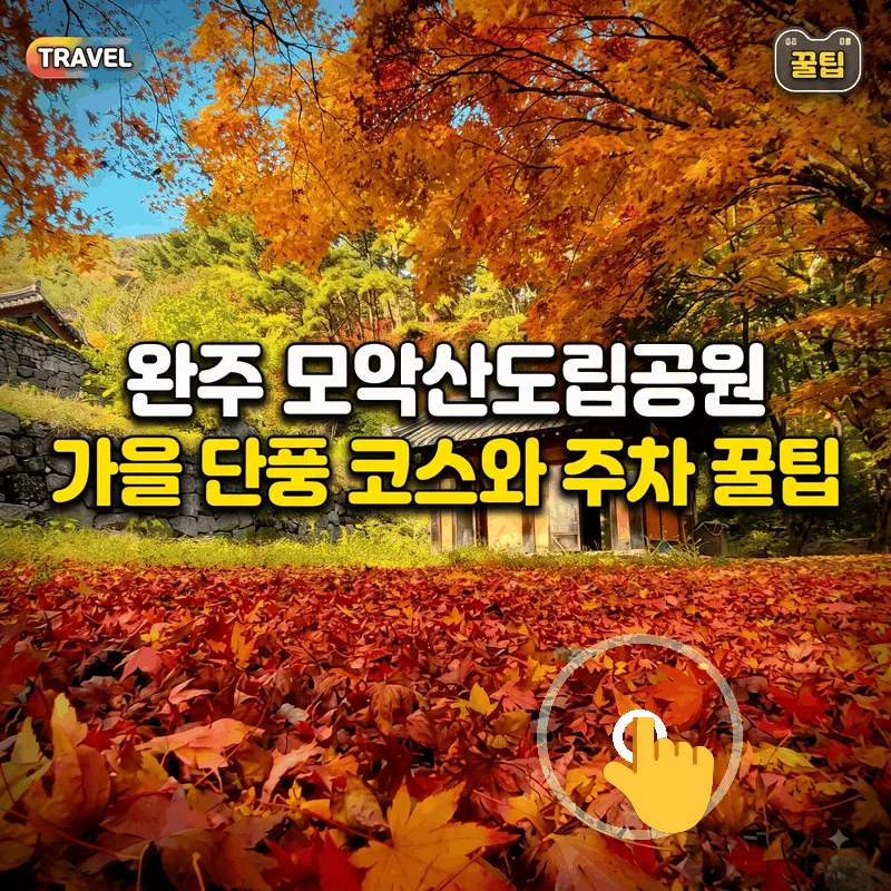 완주 모악산도립공원 가을 단풍 코스와 주차 꿀팁