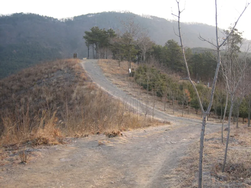 와룡산 정상