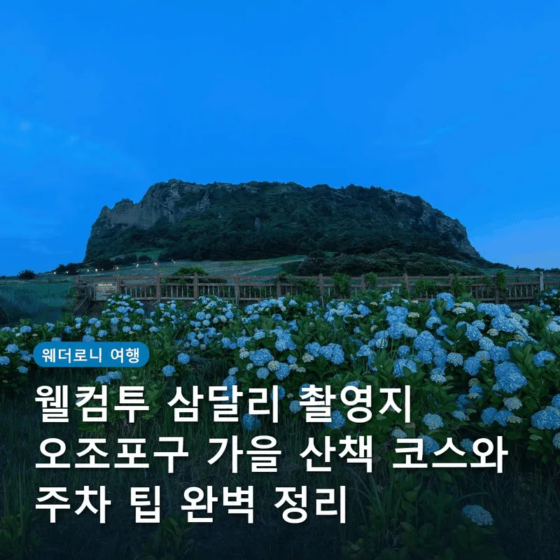 웰컴투 삼달리 촬영지 오조포구 가을 산책 코스와 주차 팁 완벽 정리