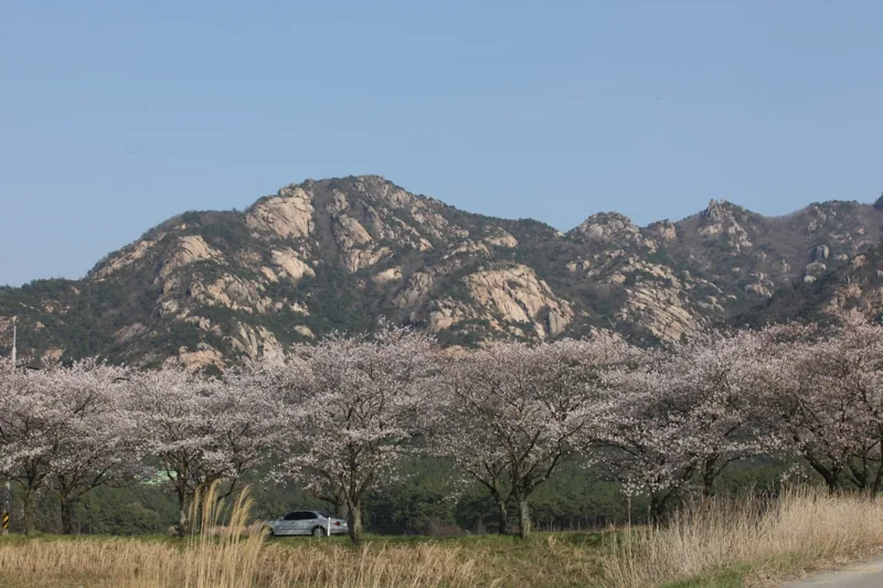 월출산