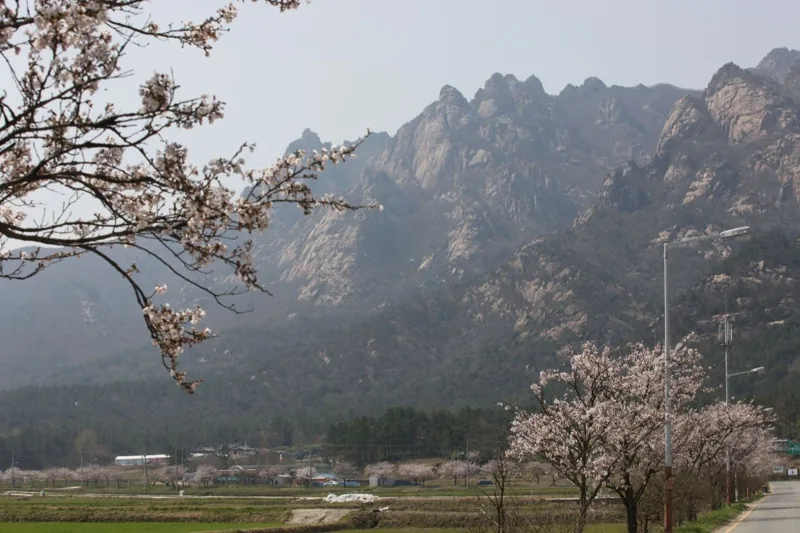 월출산국립공원