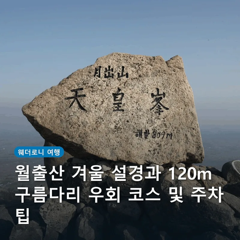 월출산 겨울 설경과 120m 구름다리 우회 코스 및 주차 팁