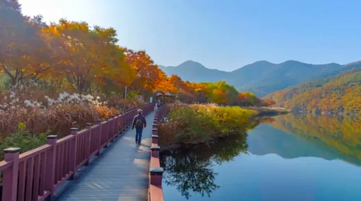 대구 월광수변공원 가을 / 사진=달서구 문화관광