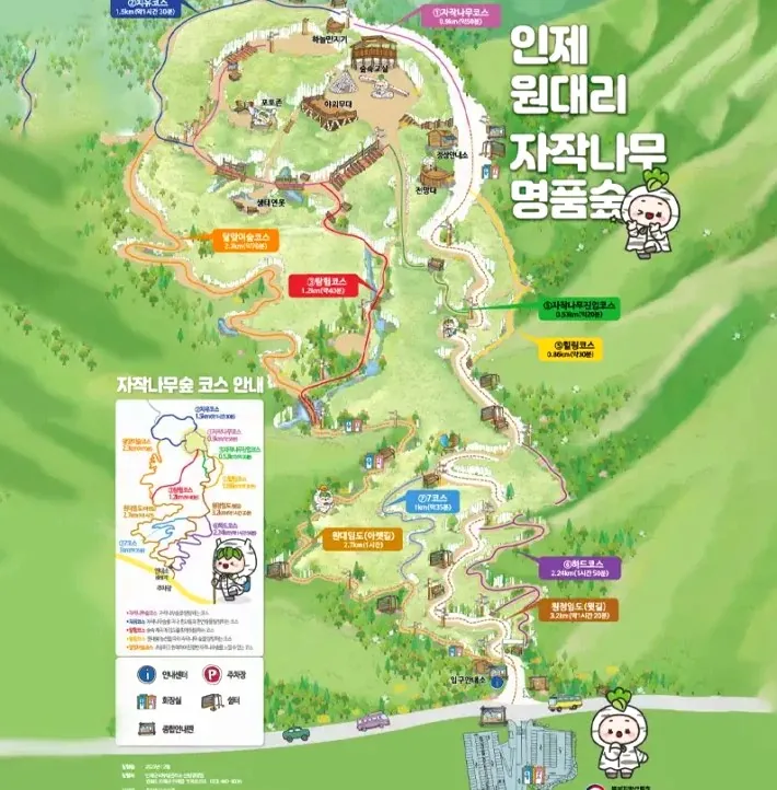 원대리 자작나무숲 코스 안내 포스터 / 사진=인제관광