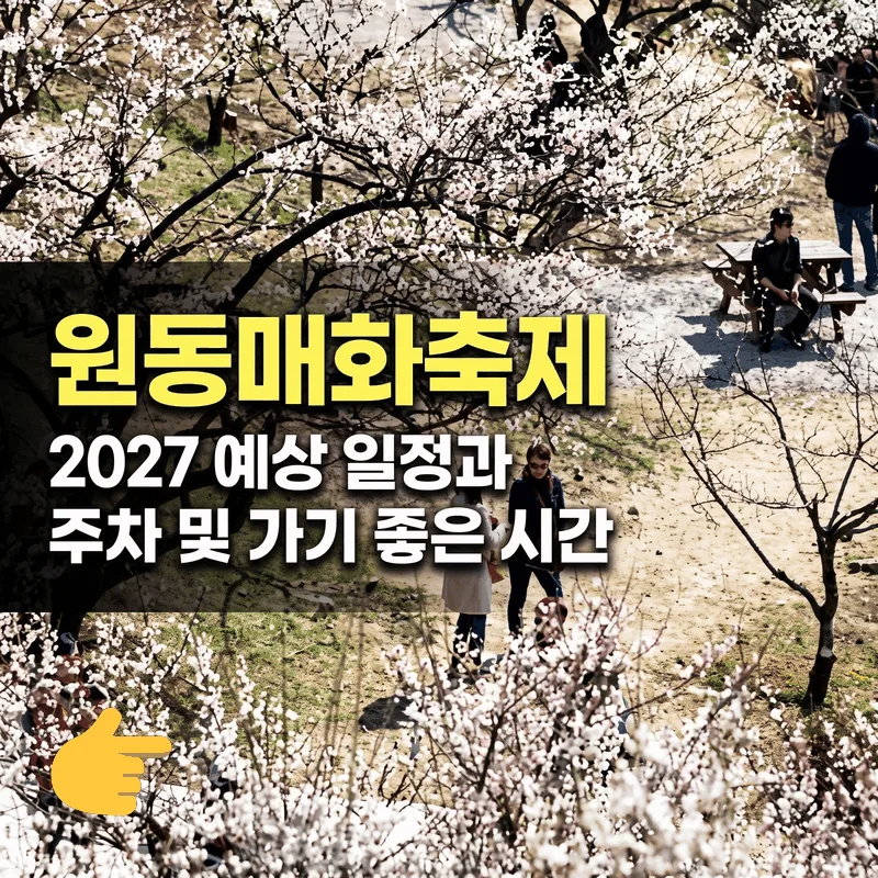 원동매화축제 2027 예상 일정과 주차 및 가기 좋은 시간