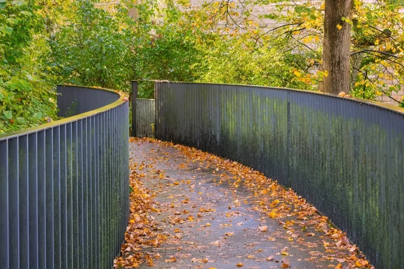 Autumn park aesthetic background