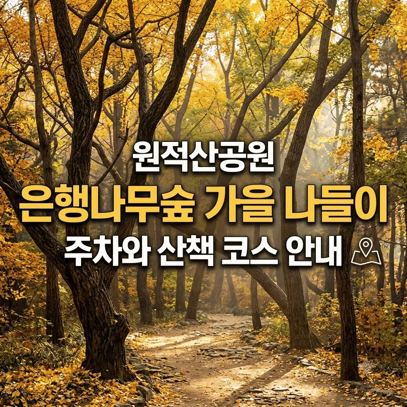 원적산공원 은행나무숲 가을 나들이 주차와 산책 코스 안내