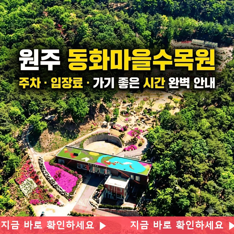 원주 동화마을수목원 주차 입장료 가기 좋은 시간 완벽 안내