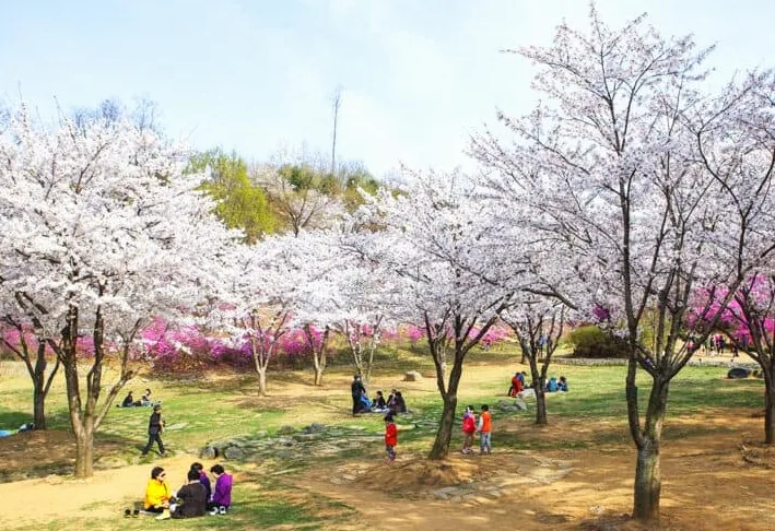 부천 원미동산 / 사진=한국관광공사 김지호