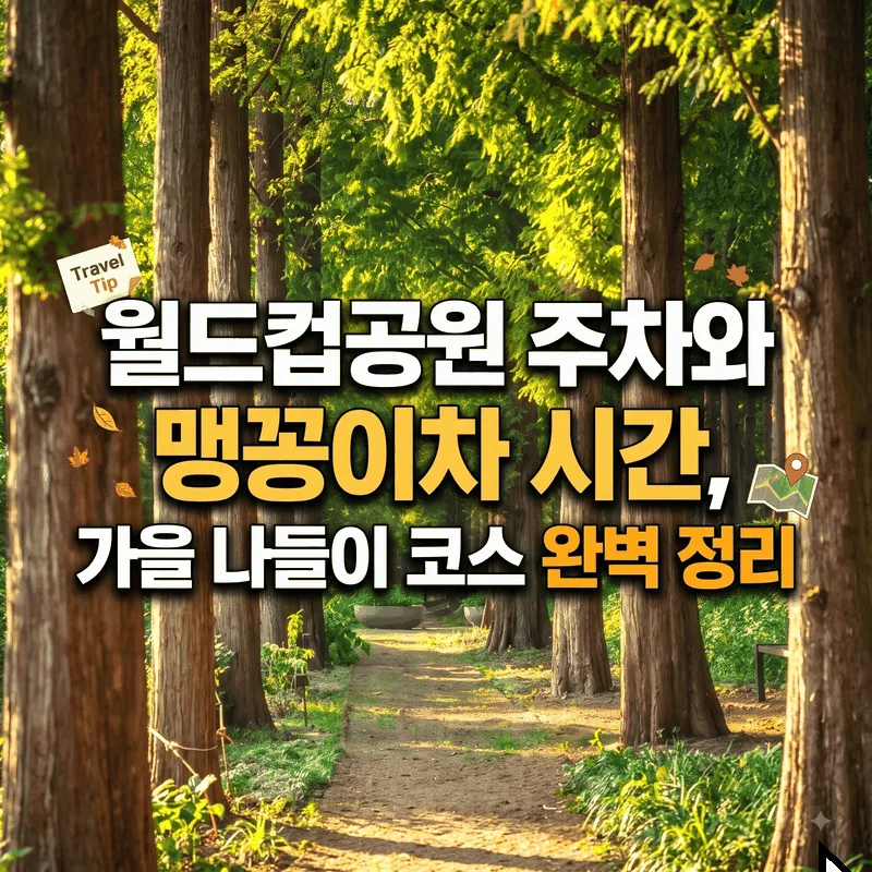 월드컵공원 주차와 맹꽁이차 시간, 가을 나들이 코스 완벽 정리