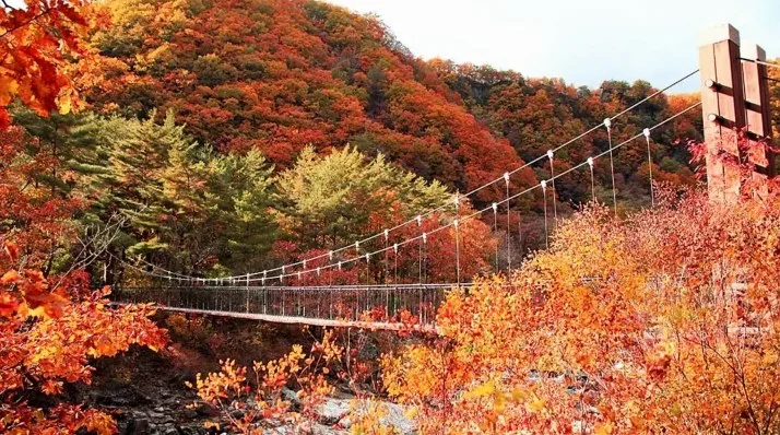 두타연 출렁다리 / 사진=ⓒ한국관광공사 한반도관광센터 비켄