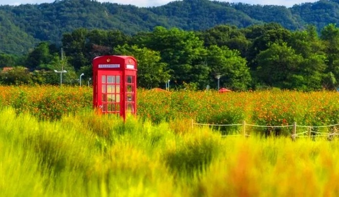 나리농원 풍경 / 사진=한국관광공사 정규진