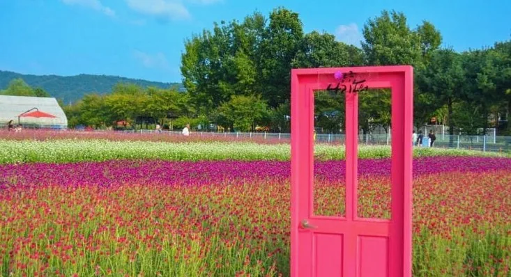 나리농원 / 사진=한국관광공사 전지민