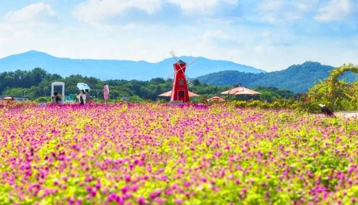 나리농원 전경 / 사진=한국관광공사 정규진