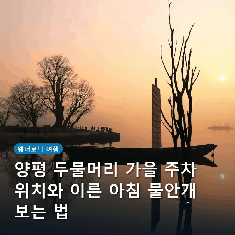 양평 두물머리 가을 주차 위치와 이른 아침 물안개 보는 법