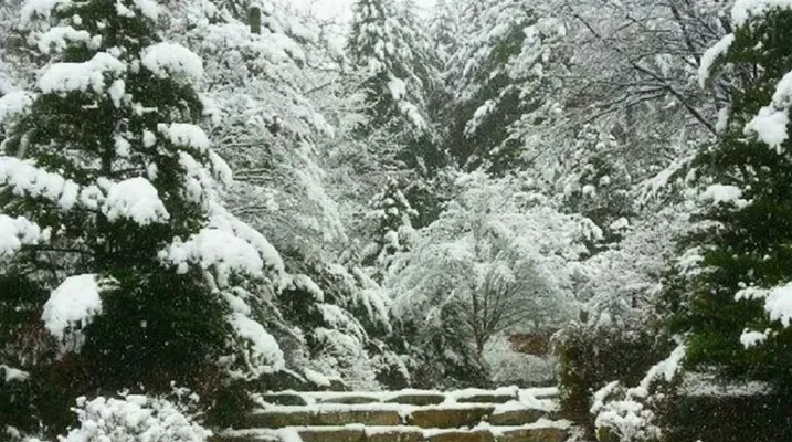국립 산음자연휴양림 겨울 풍경 / 사진=국립 산음자연휴양림