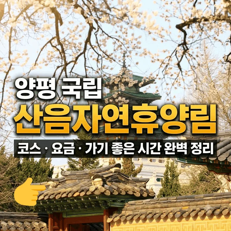 양평 국립 산음자연휴양림 코스 요금 가기 좋은 시간 완벽 정리