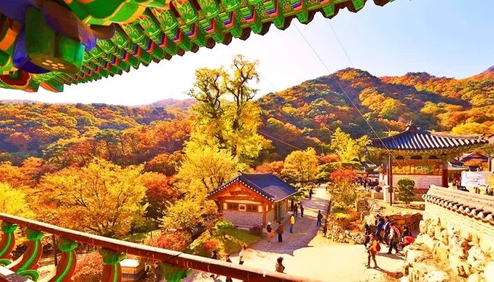 양평 용문사 풍경 / 사진=한국관광콘텐츠랩
