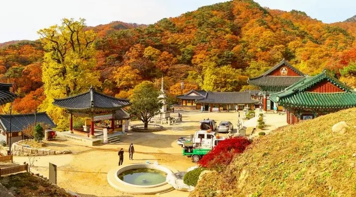 양평 용문사 모습 / 사진=양평군 문화관광