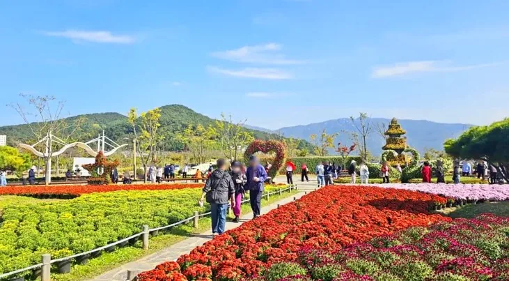 2024 양산국화축제 / 사진=양산시 공식 블로그 금광진