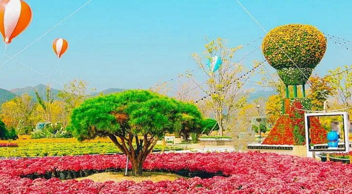 황산공원 국화축제 모습 / 사진=양산시청