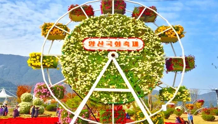 양산국화축제 국화 작품 / 사진=양산시 공식 블로그 류혜영