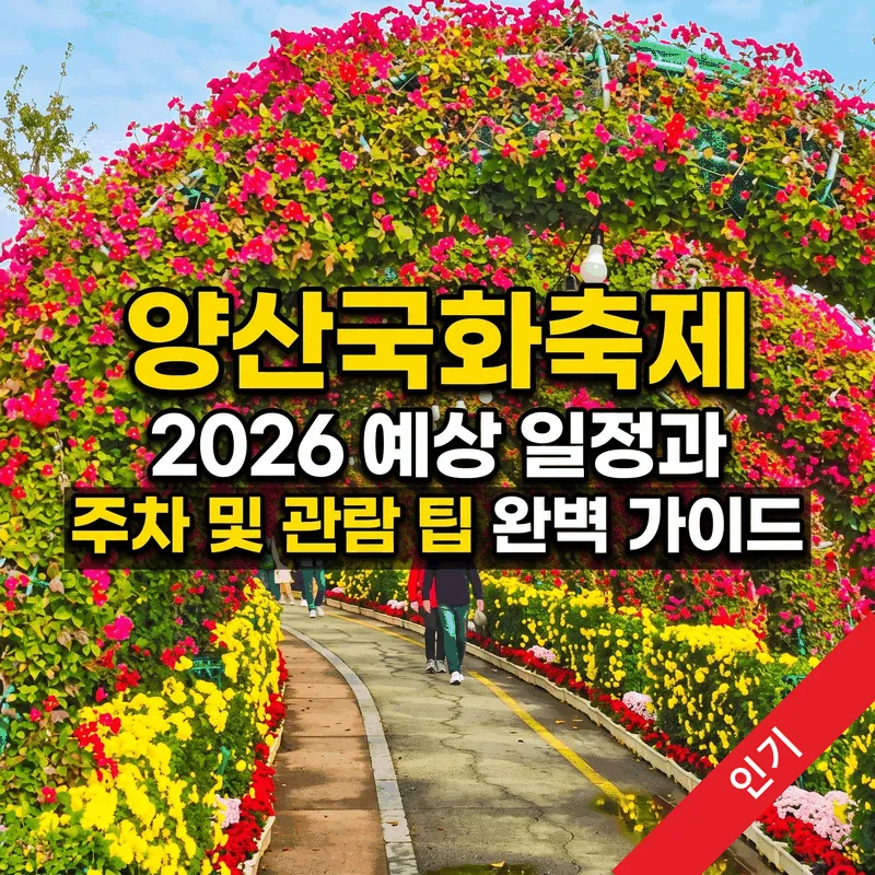 양산국화축제 2026 예상 일정과 주차 및 관람 팁 완벽 가이드
