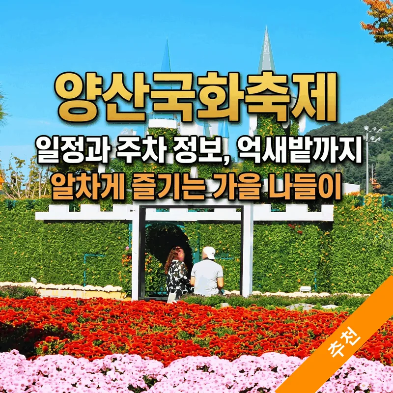 양산국화축제 일정과 주차 정보, 억새밭까지 알차게 즐기는 가을 나들이