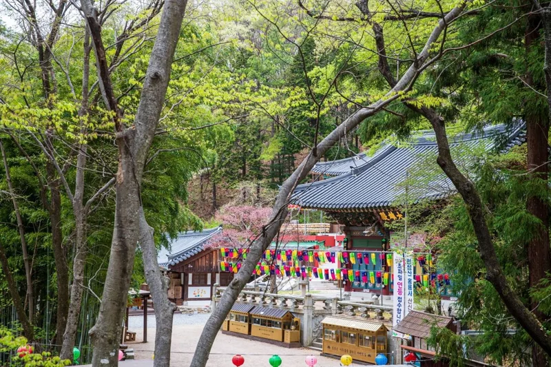 양산 홍룡사