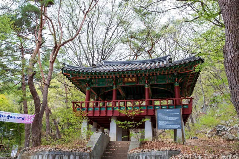 양산 홍룡사