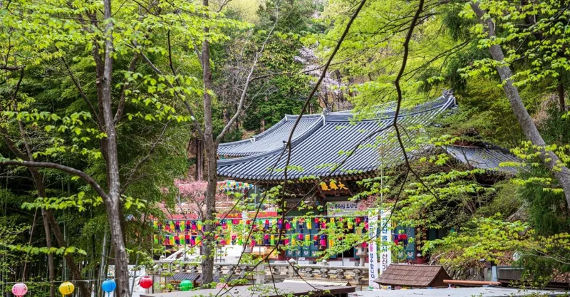양산 홍룡사