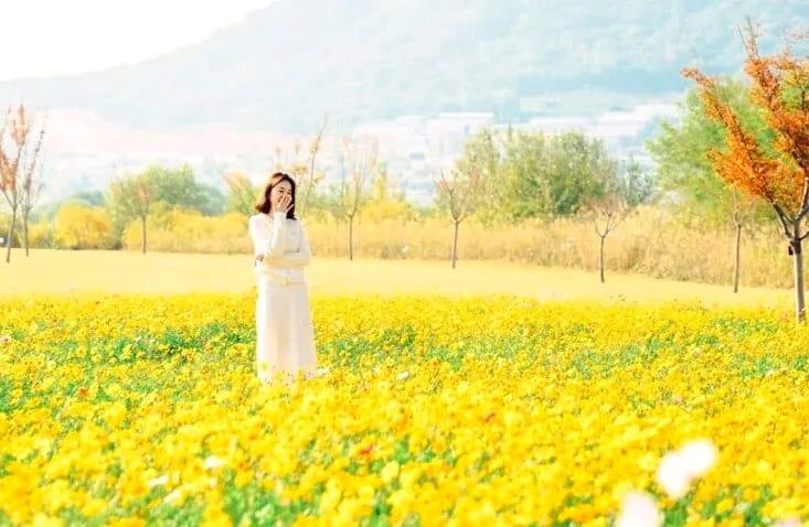 황산공원 유채꽃밭 / 사진=경남관광재단