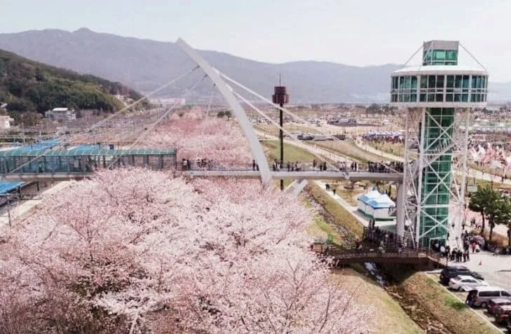 황산공원 봄 / 사진=공공누리 경상남도 양산시 한한윤