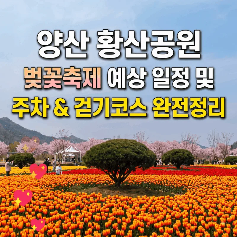 양산 황산공원 벚꽃축제 예상 일정과 주차 및 산책 코스 완벽 가이드