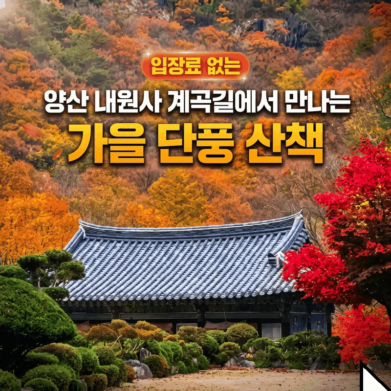 입장료 없는 양산 내원사 계곡길에서 만나는 가을 단풍 산책