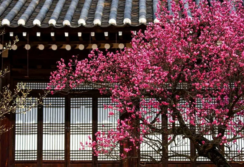 현충사 풍경 / 사진=게티이미지뱅크