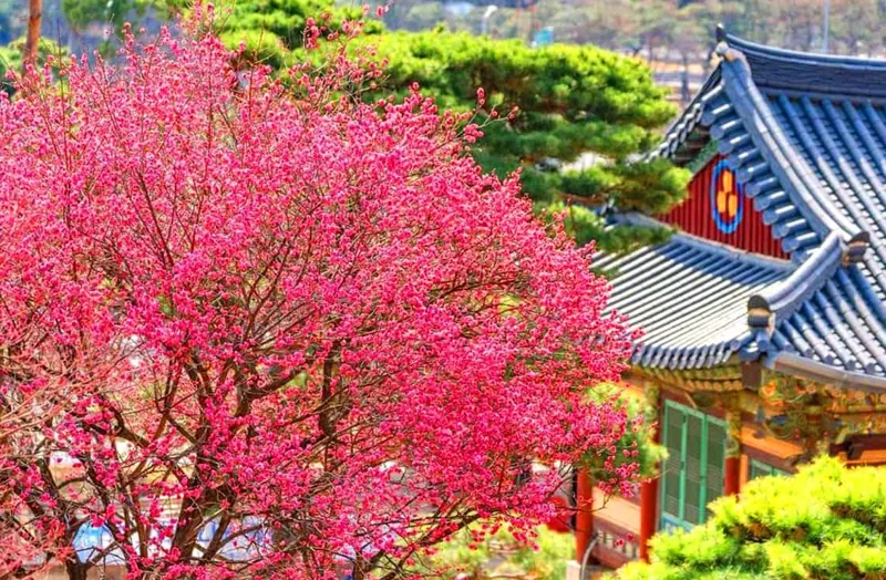 봉은사 풍경 / 사진=인스타그램