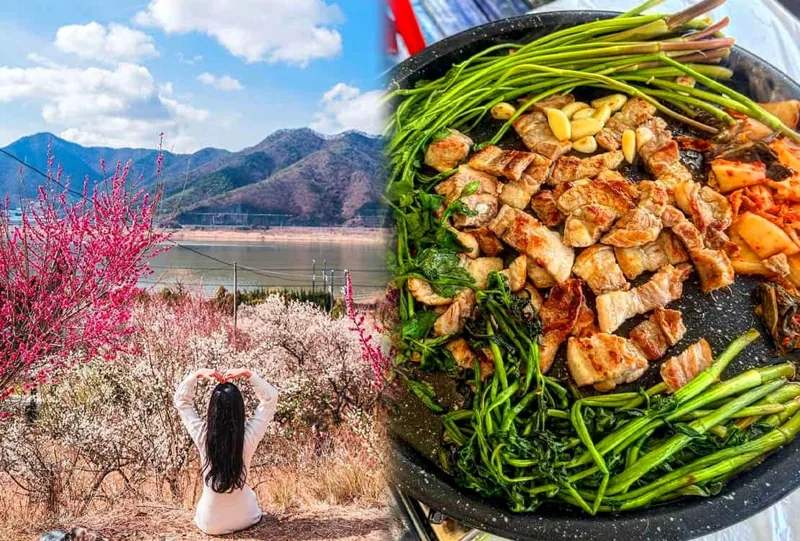 원동 매화축제 낮 풍경, 미나리축제 삼겹살 / 사진=minilife_pic, mukgonorza 인스타그램
